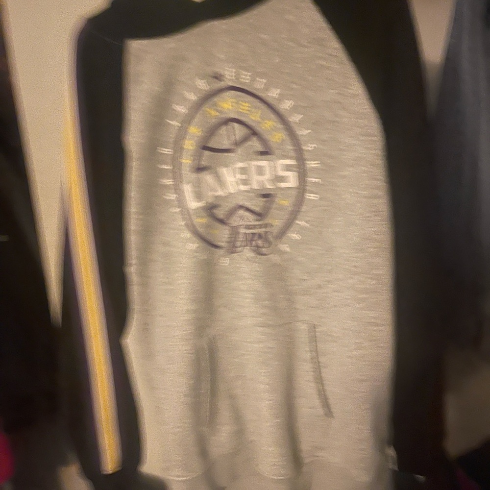 Los Angeles Lakers NBA Men's Hoodie Sweatshirt Grey Size Large